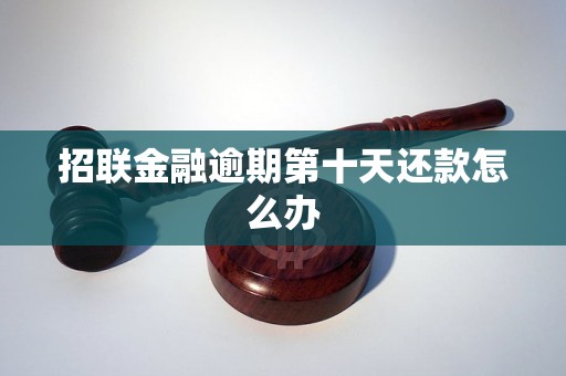 招联金融逾期第十天还款怎么办