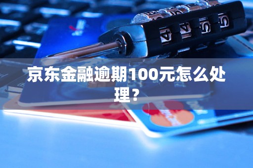 京东金融逾期100元怎么处理？