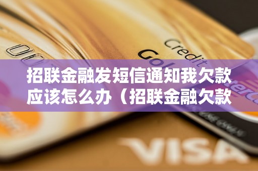 招联金融发短信通知我欠款应该怎么办（招联金融欠款处理方法）