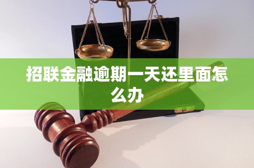 招联金融逾期一天还里面怎么办