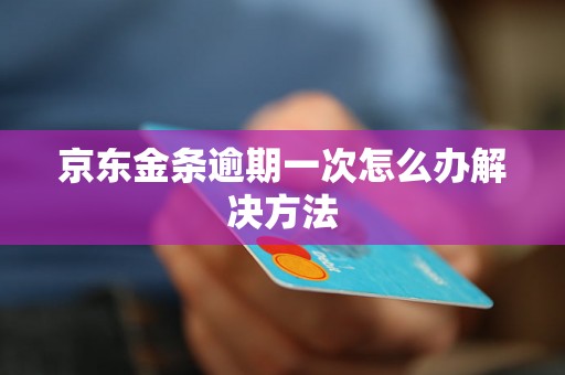 京东金条逾期一次怎么办解决方法