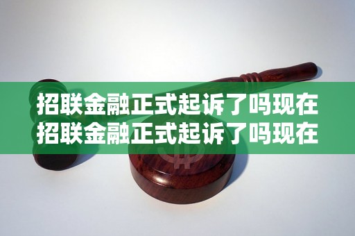 招联金融正式起诉了吗现在招联金融正式起诉了吗现在需要注意什么