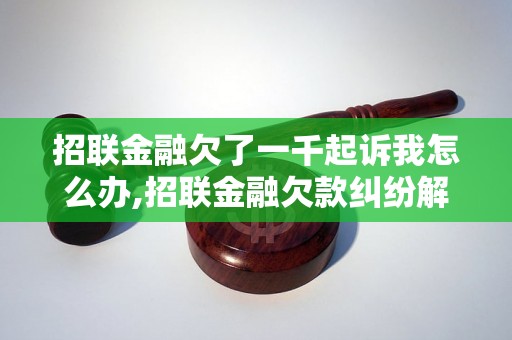 招联金融欠了一千起诉我怎么办,招联金融欠款纠纷解决办法