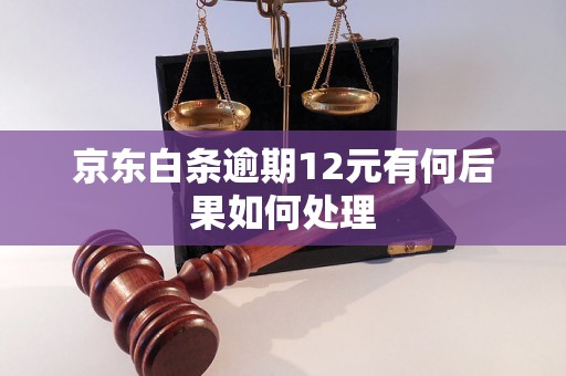 京东白条逾期12元有何后果如何处理