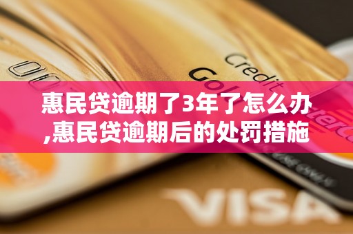 惠民贷逾期了3年了怎么办,惠民贷逾期后的处罚措施