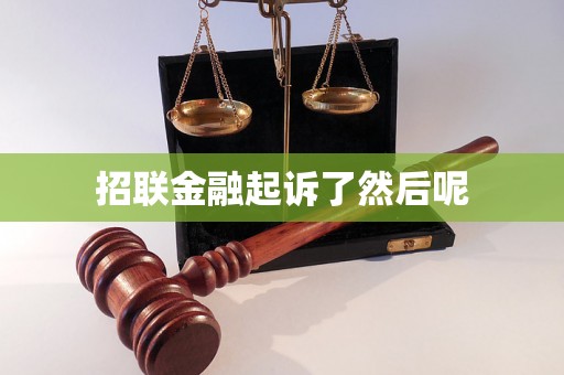 招联金融起诉了然后呢