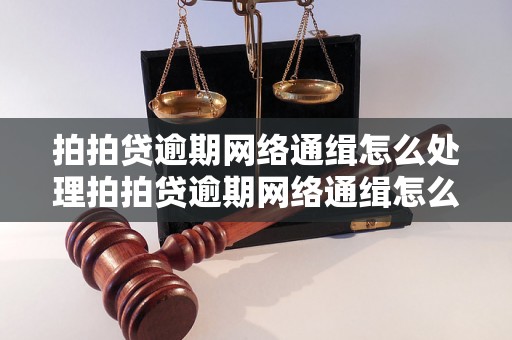 拍拍贷逾期网络通缉怎么处理拍拍贷逾期网络通缉怎么处理方法及注意事项