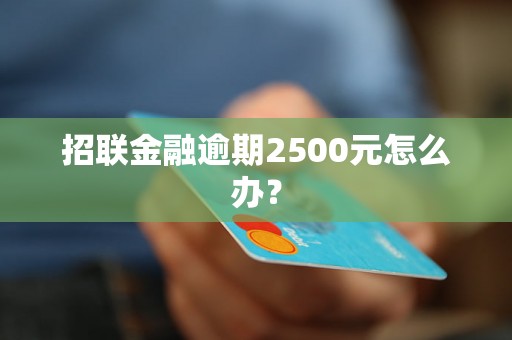 招联金融逾期2500元怎么办？