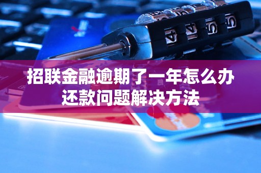 招联金融逾期了一年怎么办还款问题解决方法