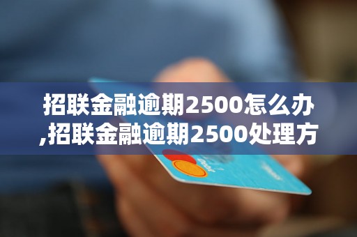 招联金融逾期2500怎么办,招联金融逾期2500处理方法