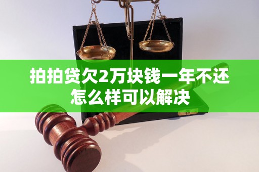 拍拍贷欠2万块钱一年不还怎么样可以解决