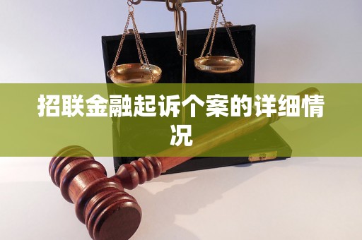 招联金融起诉个案的详细情况