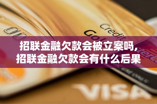 招联金融欠款会被立案吗,招联金融欠款会有什么后果