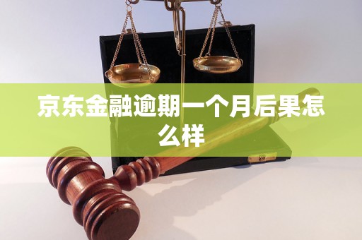 京东金融逾期一个月后果怎么样