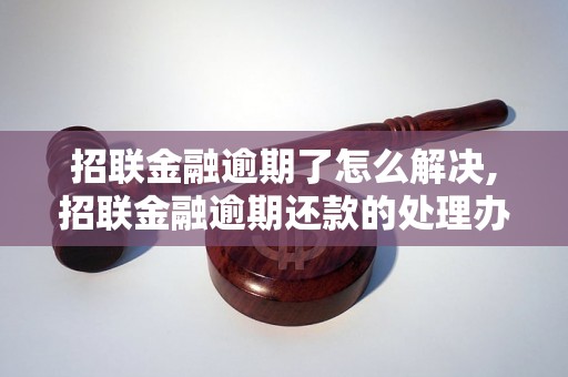 招联金融逾期了怎么解决,招联金融逾期还款的处理办法