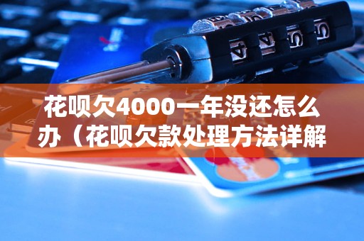 花呗欠4000一年没还怎么办（花呗欠款处理方法详解）