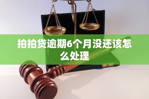 拍拍贷逾期6个月没还该怎么处理