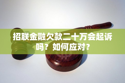 招联金融欠款二十万会起诉吗？如何应对？