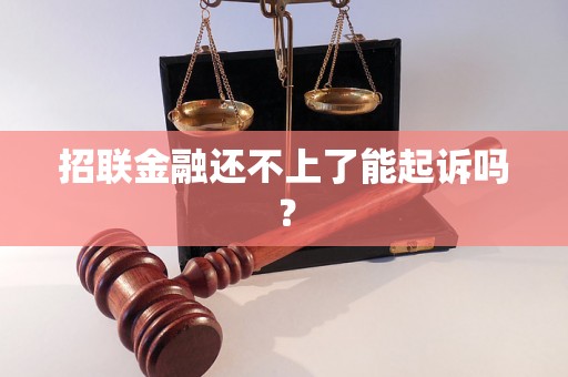 招联金融还不上了能起诉吗？