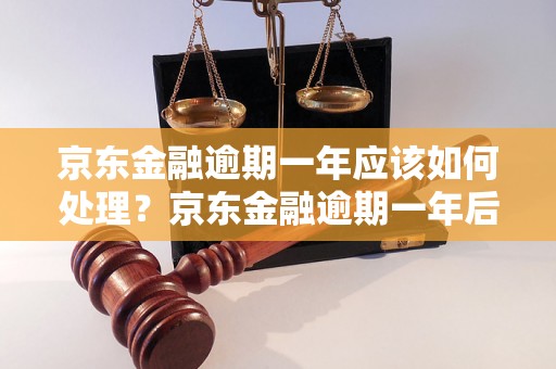 京东金融逾期一年应该如何处理？京东金融逾期一年后的后果是什么？