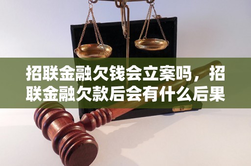 招联金融欠钱会立案吗，招联金融欠款后会有什么后果