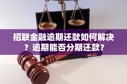 招联金融逾期还款如何解决？逾期能否分期还款？