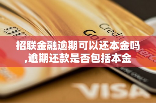 招联金融逾期可以还本金吗,逾期还款是否包括本金