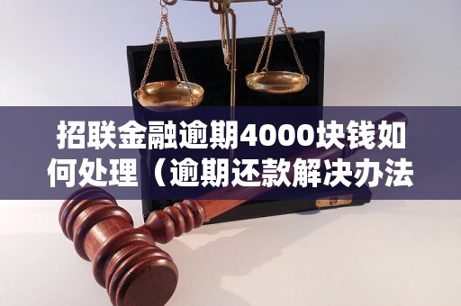 招联金融逾期4000块钱如何处理（逾期还款解决办法）