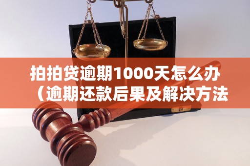 拍拍贷逾期1000天怎么办（逾期还款后果及解决方法）