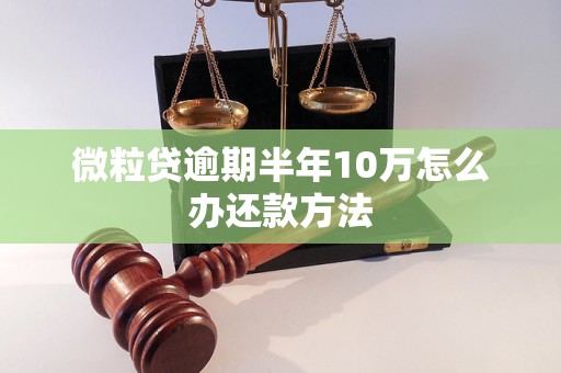 微粒贷逾期半年10万怎么办还款方法