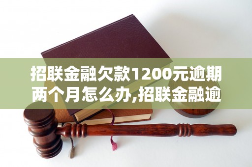 招联金融欠款1200元逾期两个月怎么办,招联金融逾期还款后果及处理方法