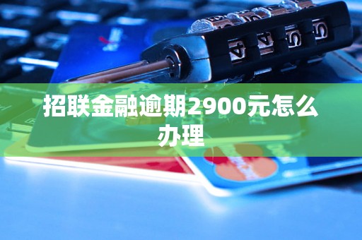 招联金融逾期2900元怎么办理