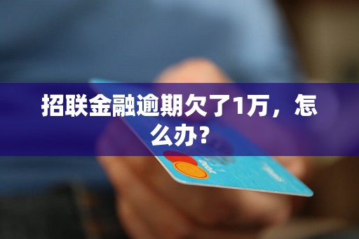 招联金融逾期欠了1万，怎么办？