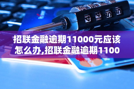 招联金融逾期11000元应该怎么办,招联金融逾期11000元后果严重吗