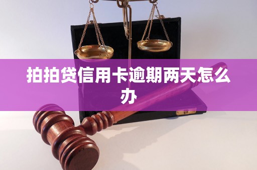 拍拍贷信用卡逾期两天怎么办