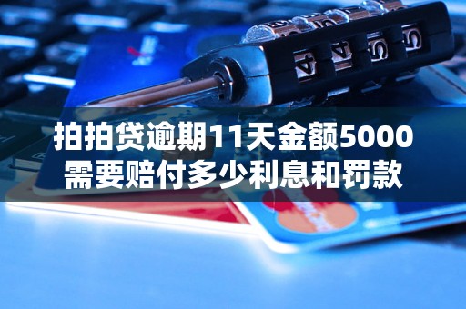 拍拍贷逾期11天金额5000需要赔付多少利息和罚款