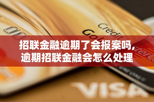 招联金融逾期了会报案吗,逾期招联金融会怎么处理