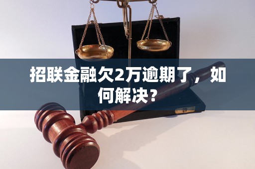 招联金融欠2万逾期了，如何解决？