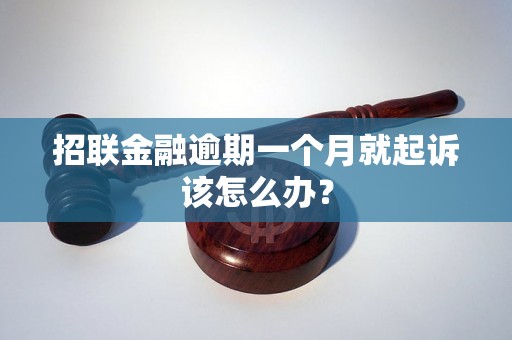 招联金融逾期一个月就起诉该怎么办？