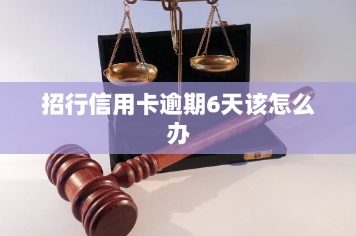 招行信用卡逾期6天该怎么办