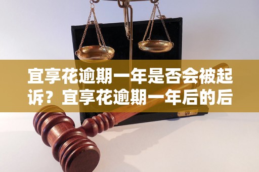 宜享花逾期一年是否会被起诉？宜享花逾期一年后的后果有哪些？