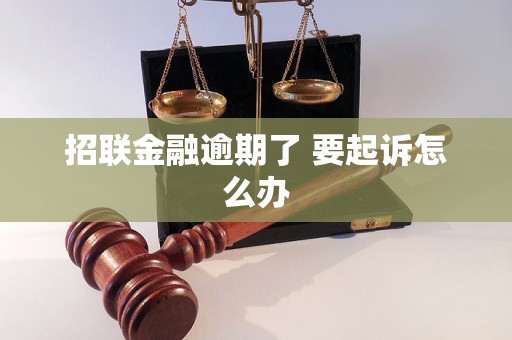 招联金融逾期了 要起诉怎么办