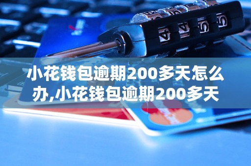 小花钱包逾期200多天怎么办,小花钱包逾期200多天会有什么后果