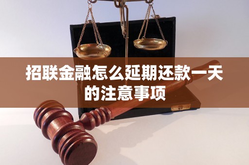 招联金融怎么延期还款一天的注意事项