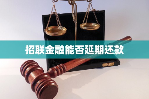 招联金融能否延期还款