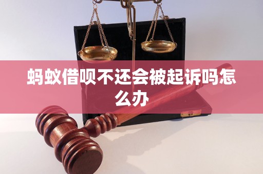 蚂蚁借呗不还会被起诉吗怎么办