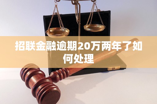 招联金融逾期20万两年了如何处理