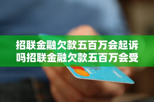 招联金融欠款五百万会起诉吗招联金融欠款五百万会受到法律制裁吗