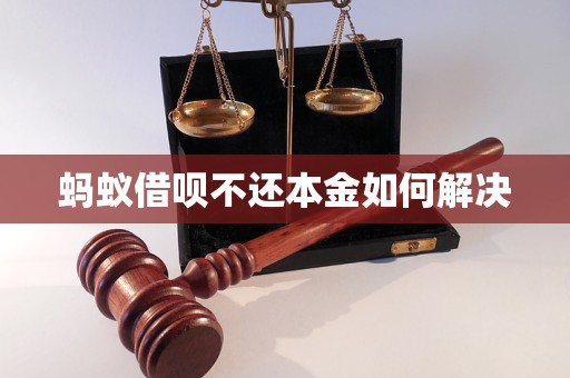 蚂蚁借呗不还本金如何解决