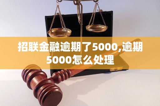 招联金融逾期了5000,逾期5000怎么处理